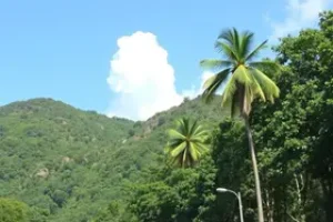 contracheque atualizado