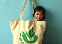 Bolsa Família em Carapicuíba