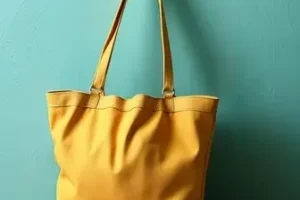Bolsa Família e BPC