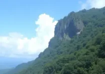 Detran Itapecerica da Serra