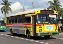 ônibus grátis nas eleições