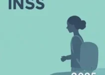 formas de contribuição INSS 2025