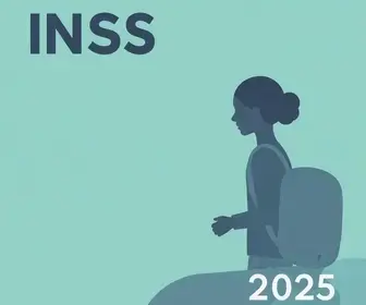 formas de contribuição INSS 2025